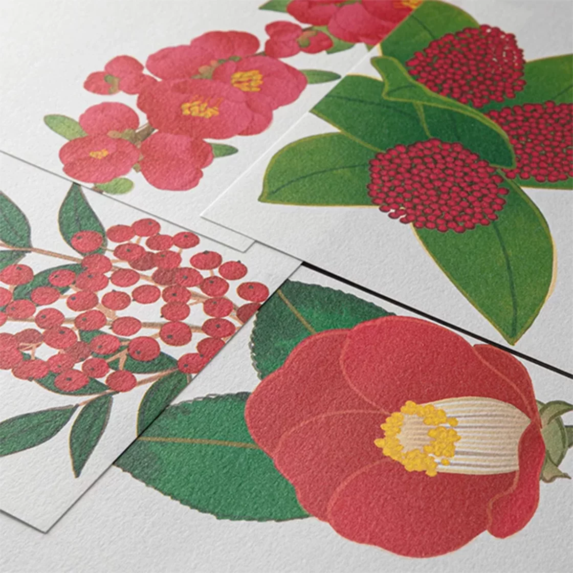 75.1 Red Winter Letter Paper * Midori