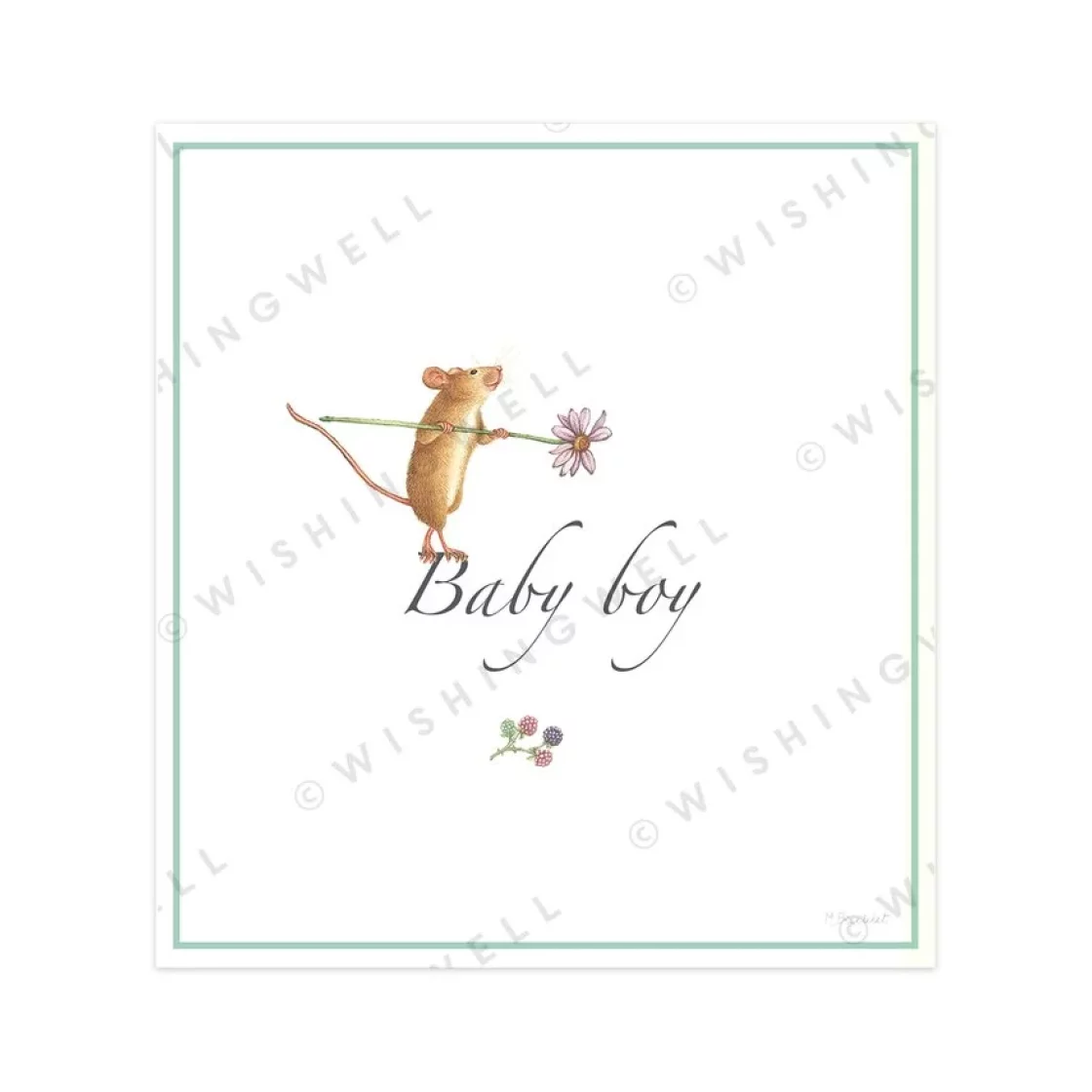 W97. Baby boy * Wishingwell gift card