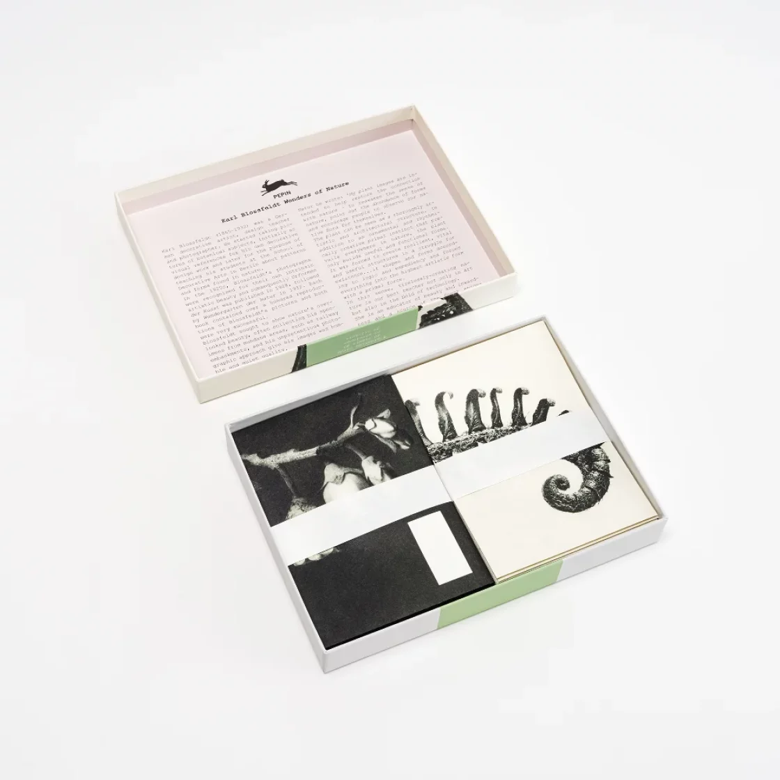CO06 Wonders Of Nature * Correspondence set * The Pepin Press