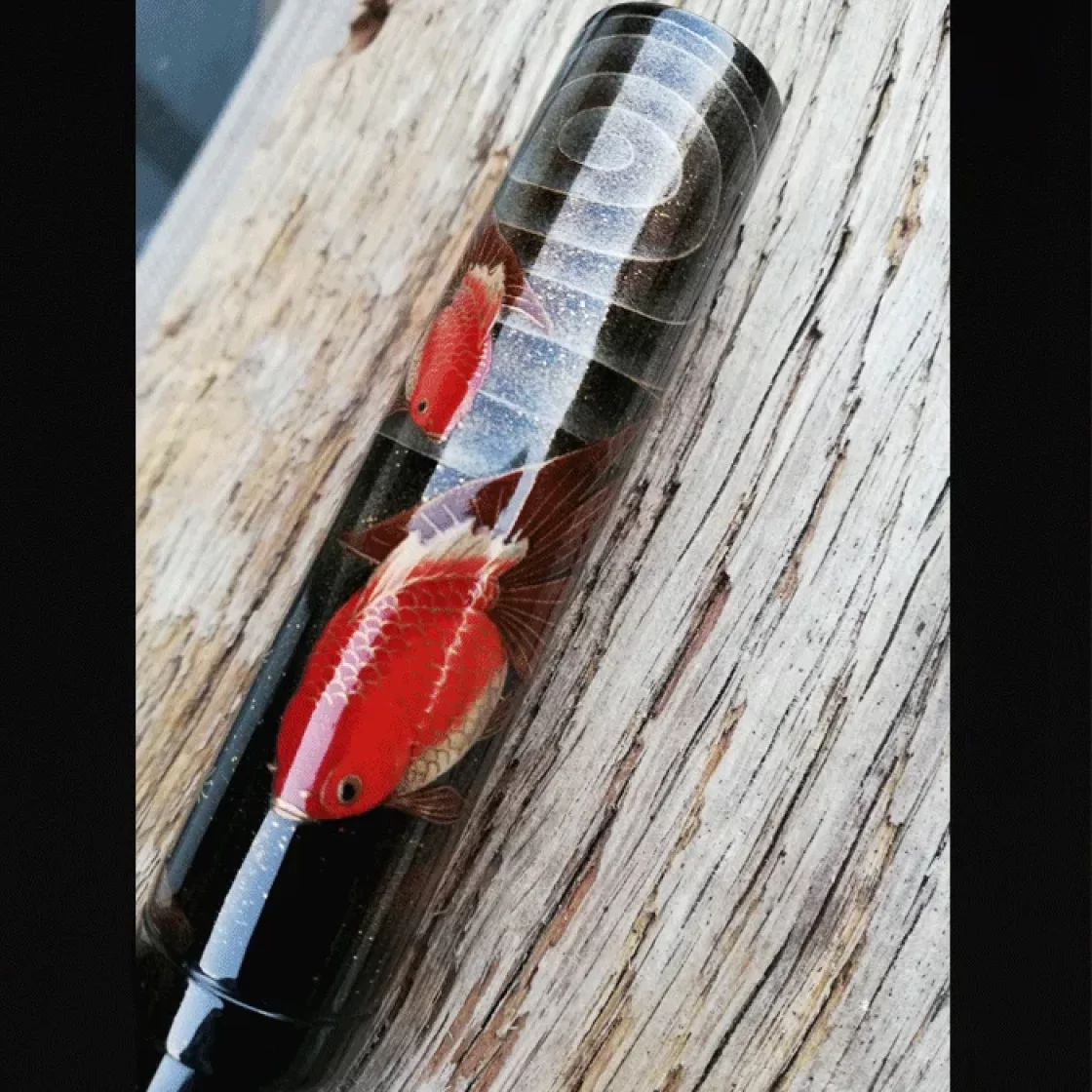 Emperor Gold Fish * Namiki