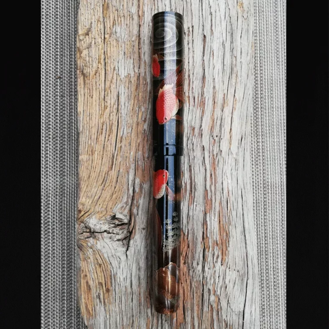 Emperor Gold Fish * Namiki