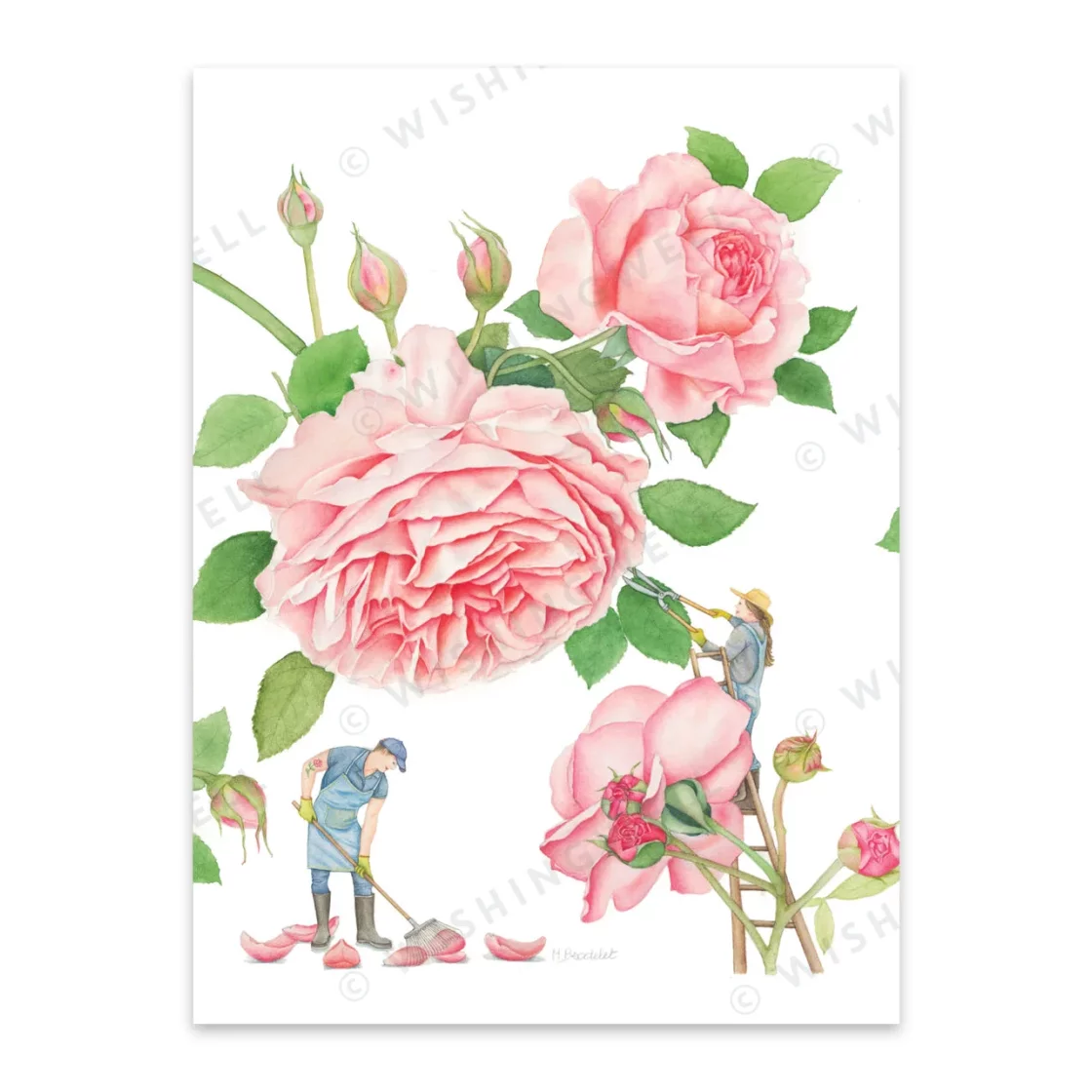 FL05. Rose * Wishingwell gift card