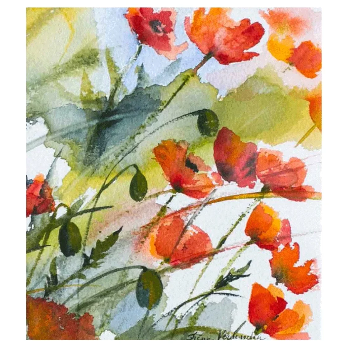 IV.010 * Poppy Aquarel * Arti
