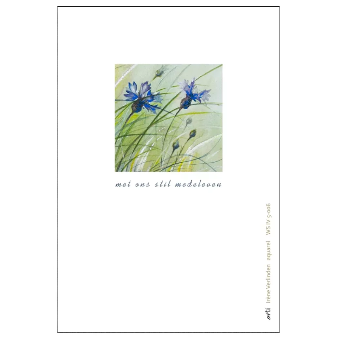 IV.5006 Korenbloem * Arti
