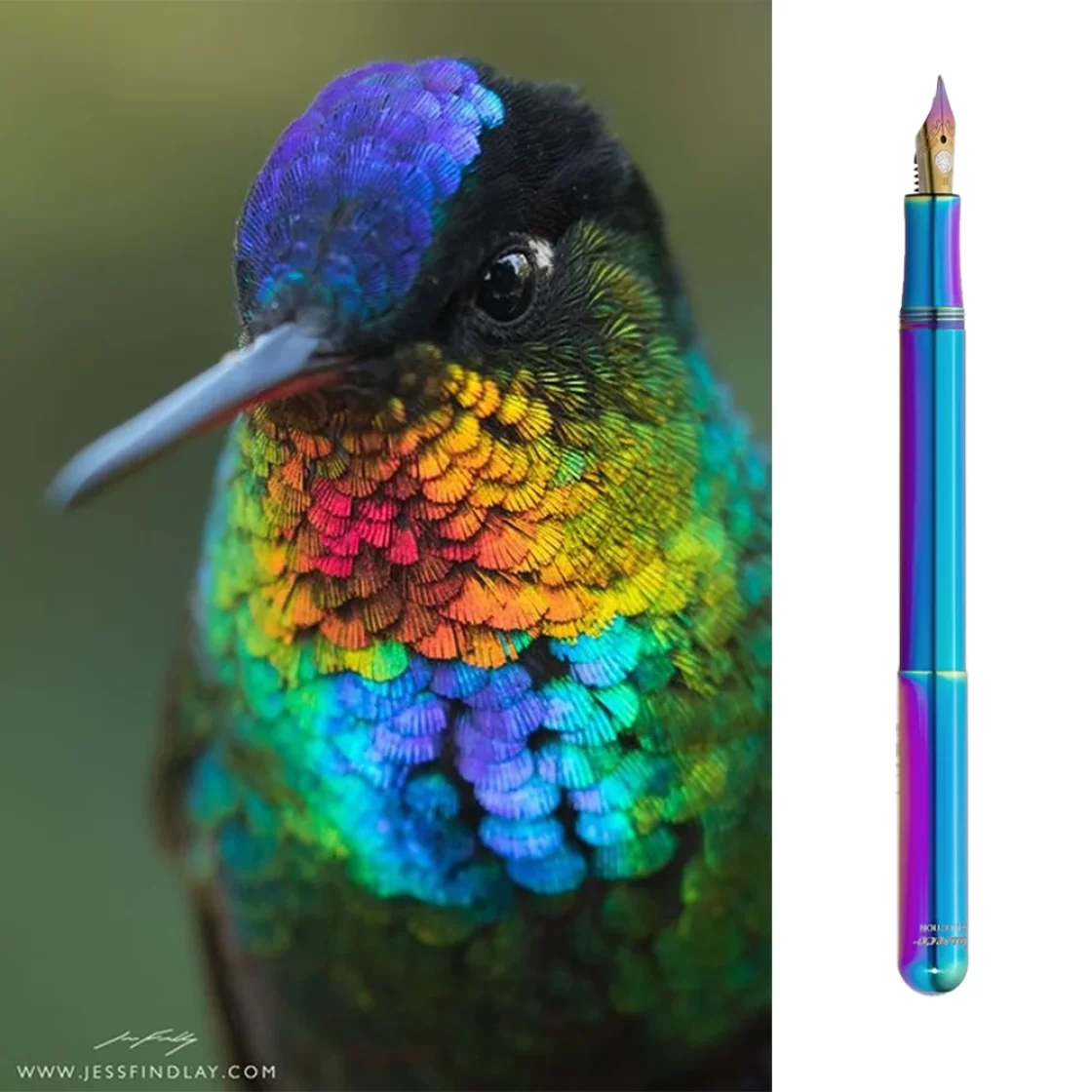 Liliput Collection Kolibri Fountain Pen * Kaweco