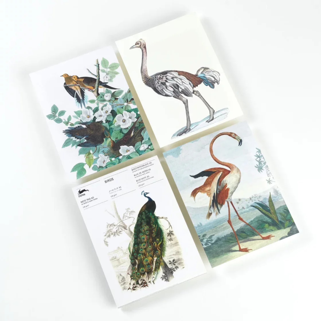 NP62 Birds * A5 notepad * Pepin Press