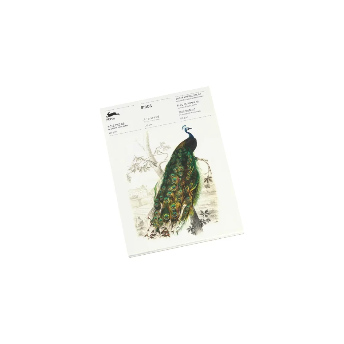 NP62 Birds * A5 notepad * Pepin Press
