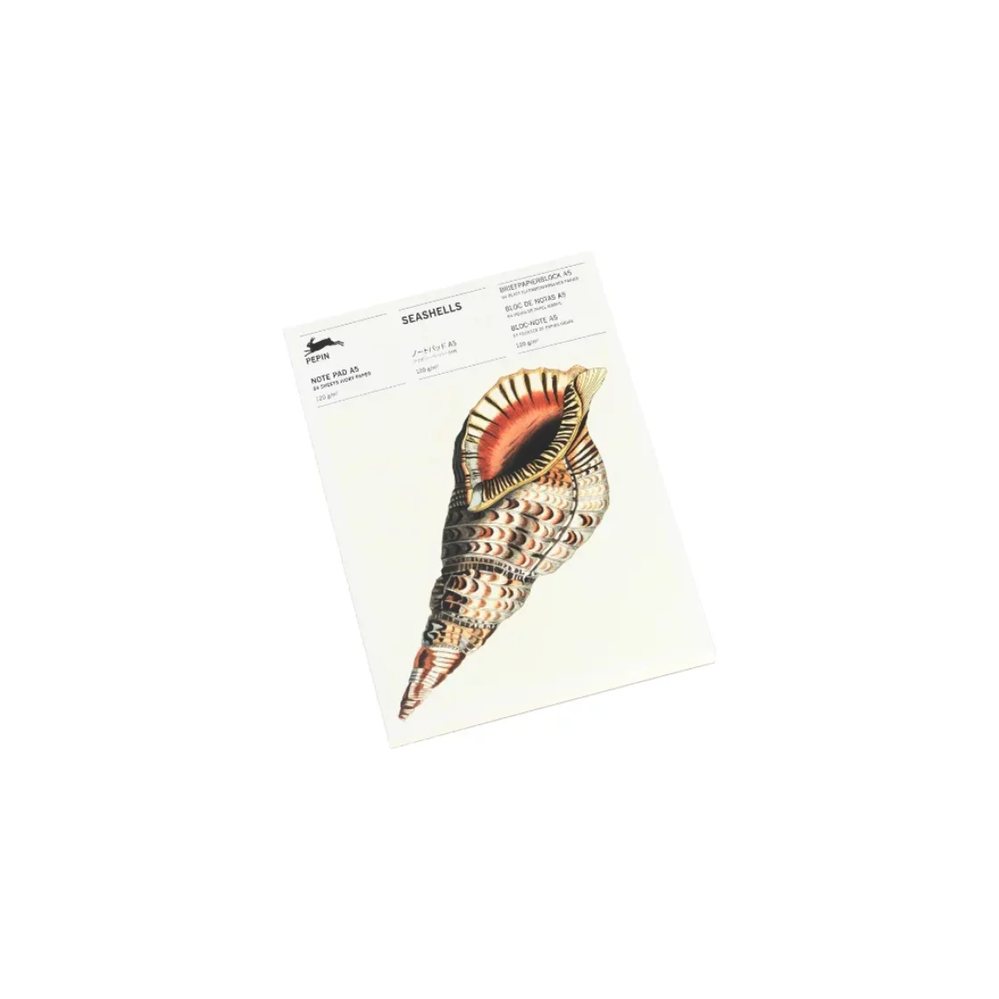 NP79 Seashells * A5 notepad * Pepin Press