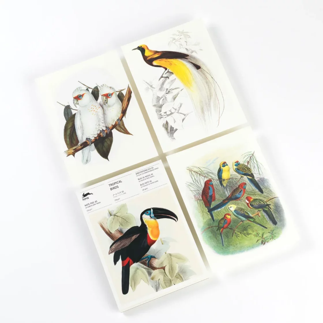 NP86 Tropical Birds  * A5 notepad * Pepin Press