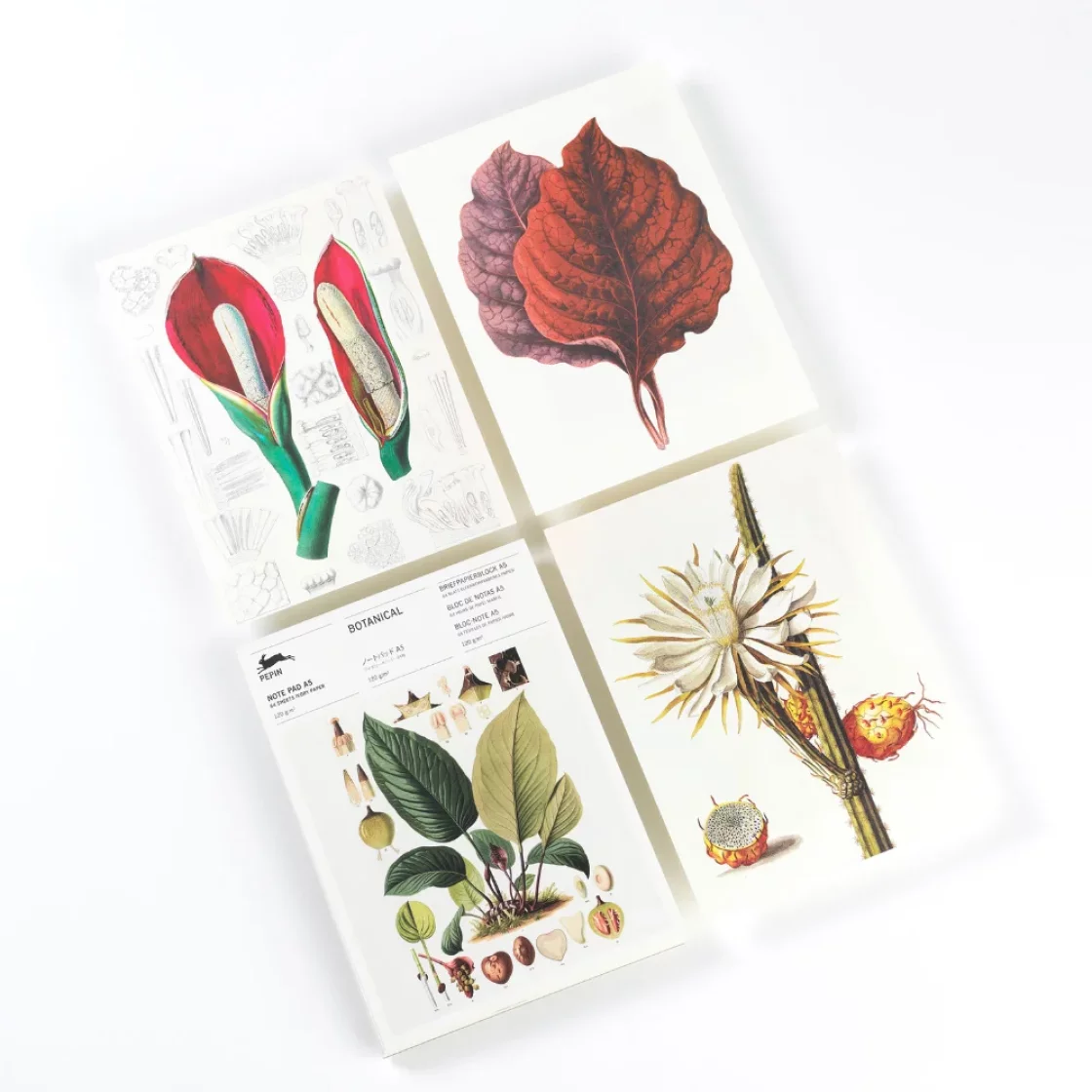 NP93 Botanical * A5 notepad * Pepin Press
