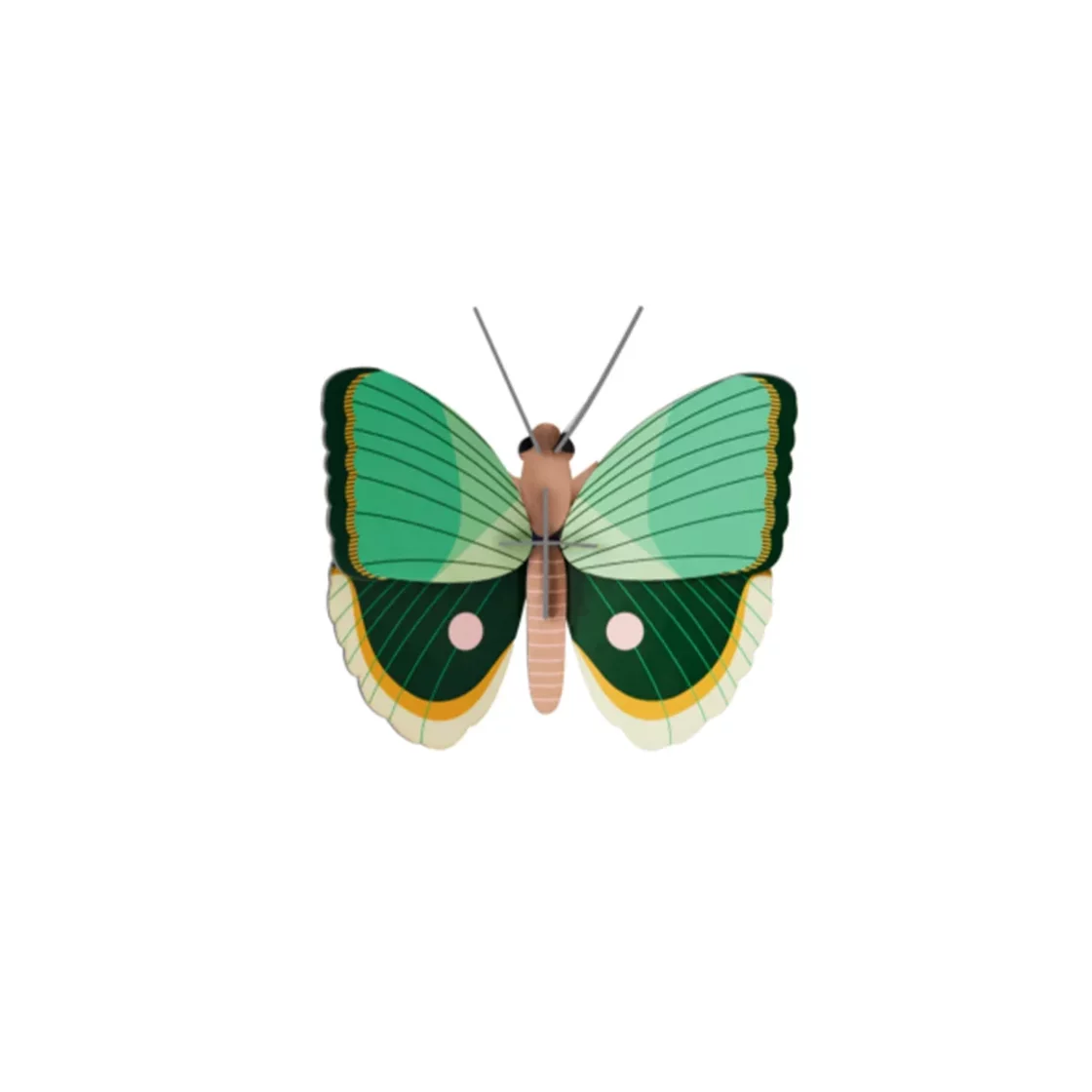 R34. Fern Striped Butterfly Wall Art * Studio ROOF