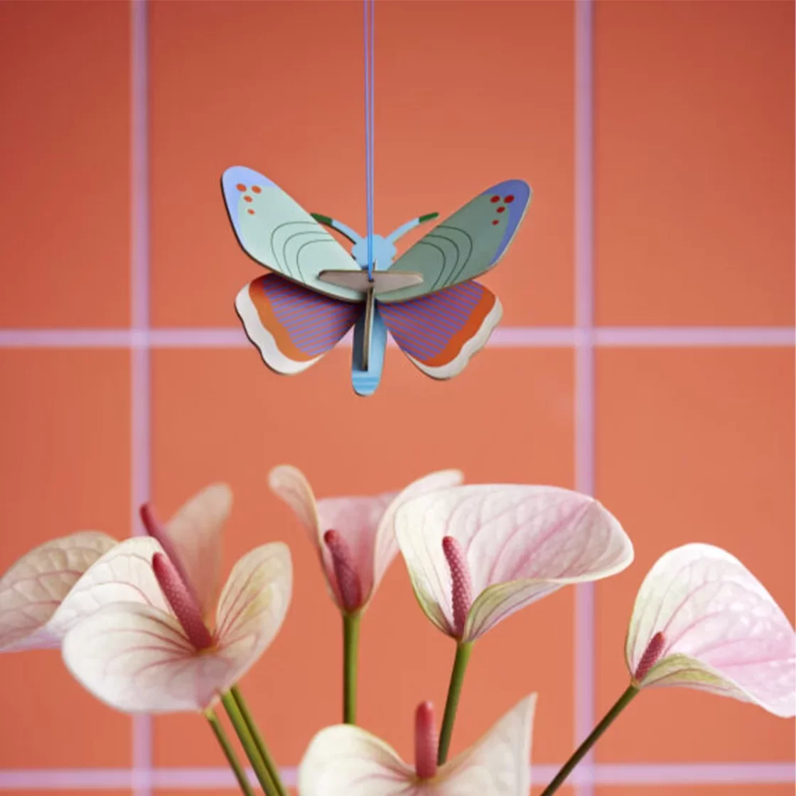 R36. Dotted Butterfly Wall Art * Studio ROOF