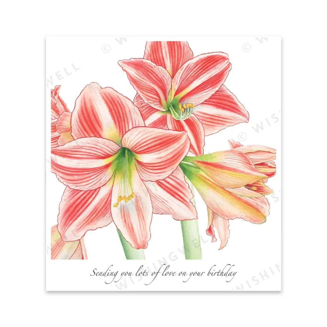 WFW11. Lots Of Love On Your Birthday * Wishingwell Greeting Card