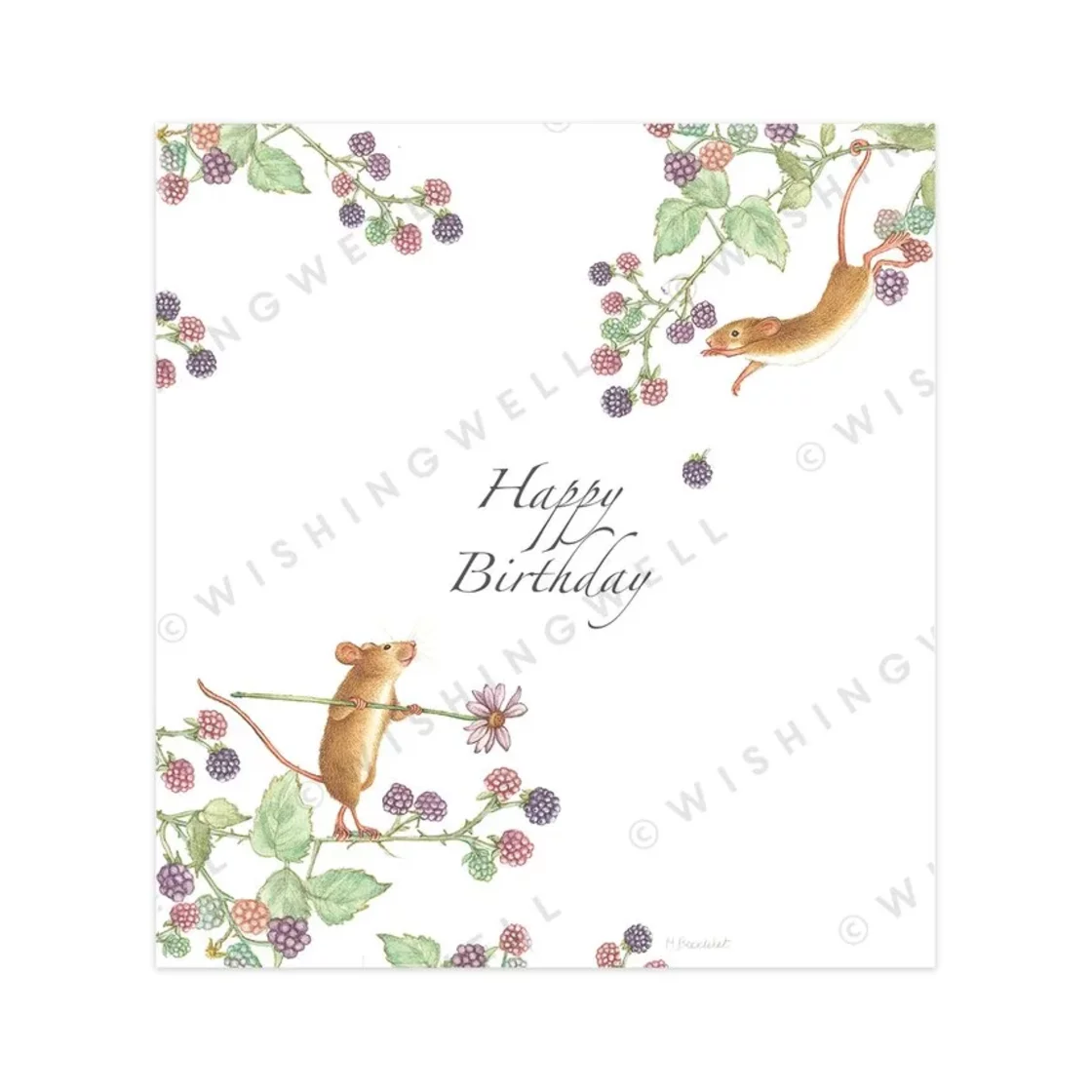 W98. Happy birthday * Wishingwell gift card