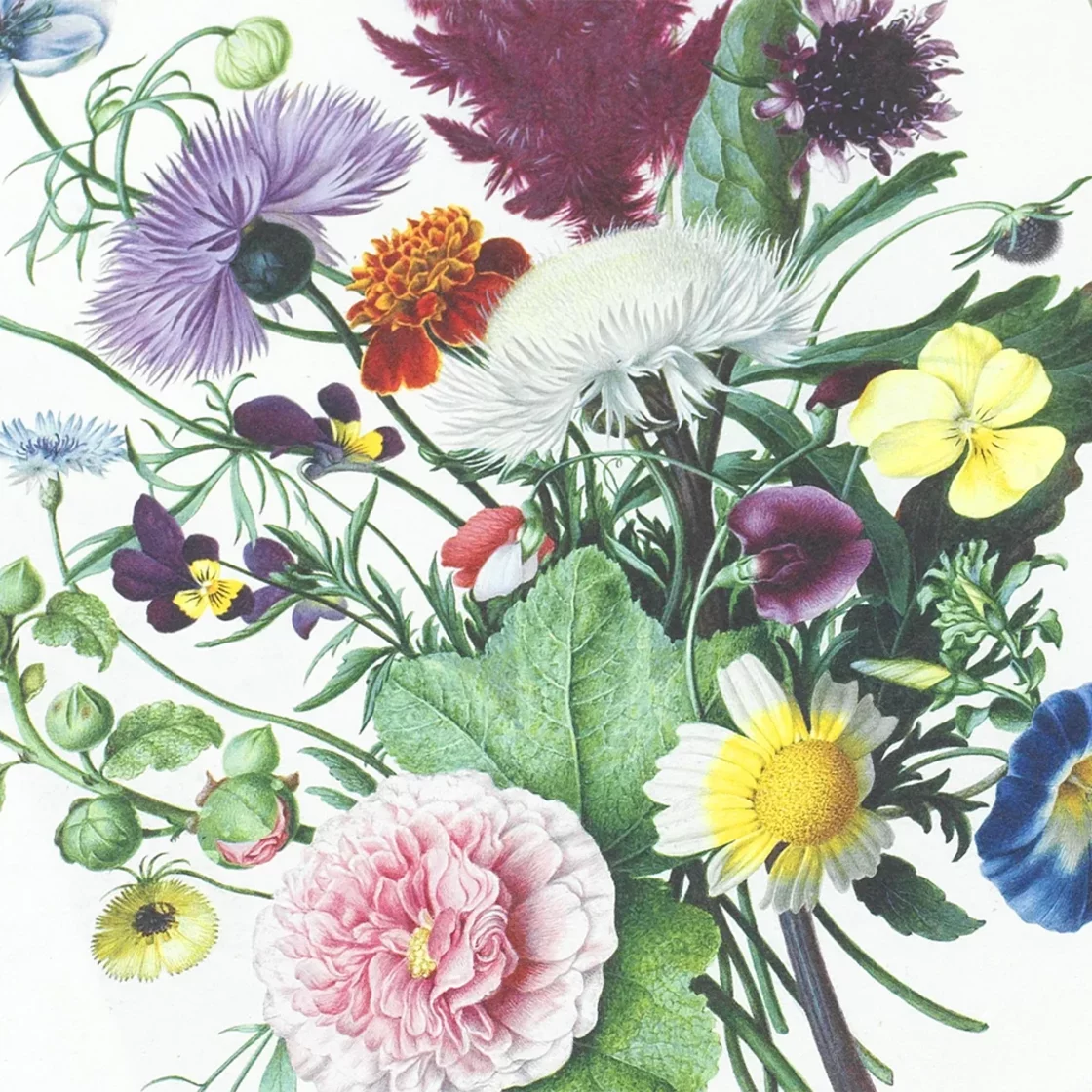 A5NP55 Bouquet * A5 Note Pad * Pepin Press