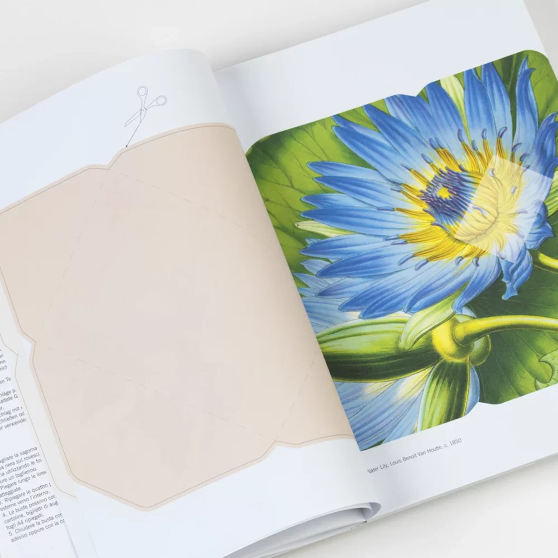 CPB71 Flowers * Creative Paper Book * Pepin Press