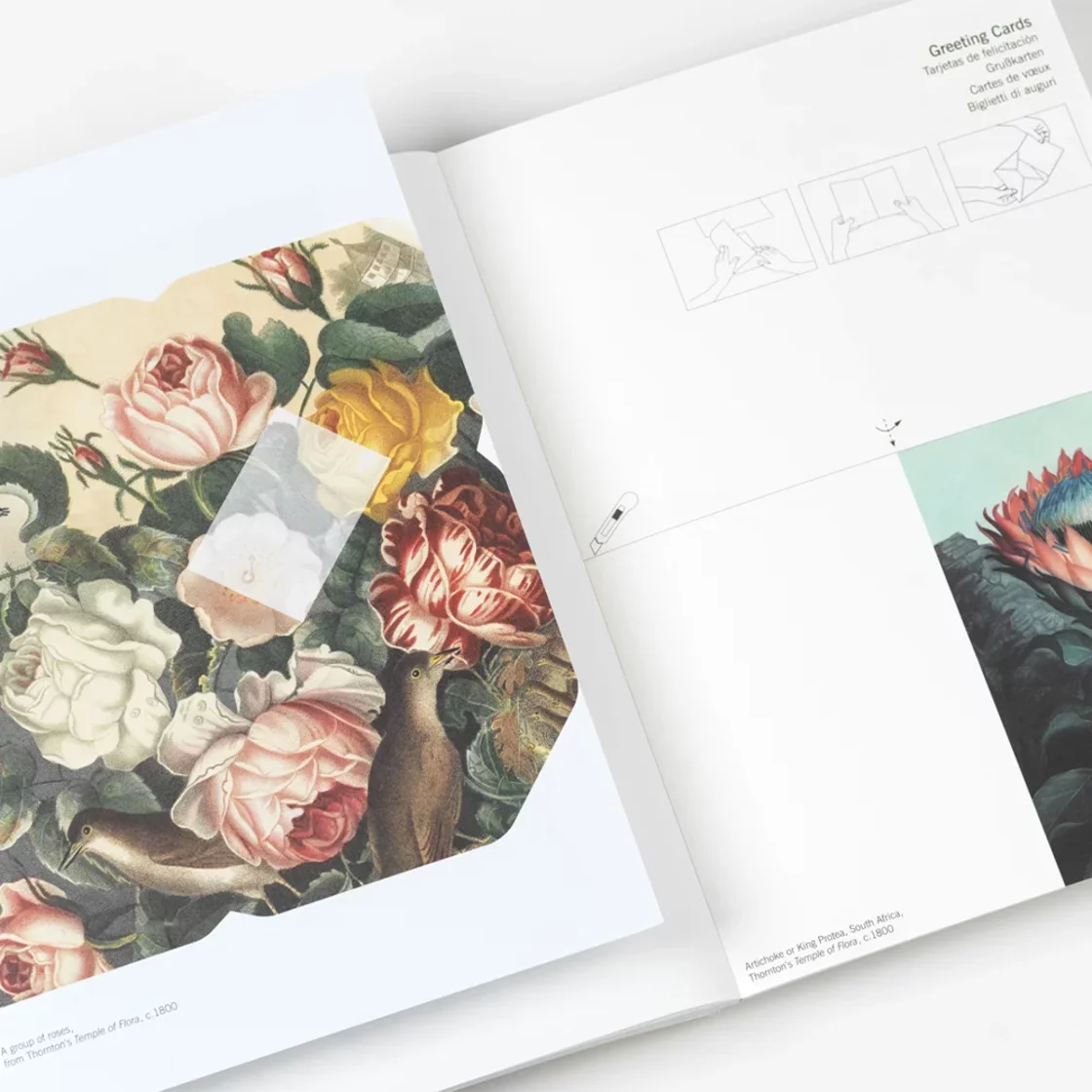 CPB71 Flowers * Creative Paper Book * Pepin Press