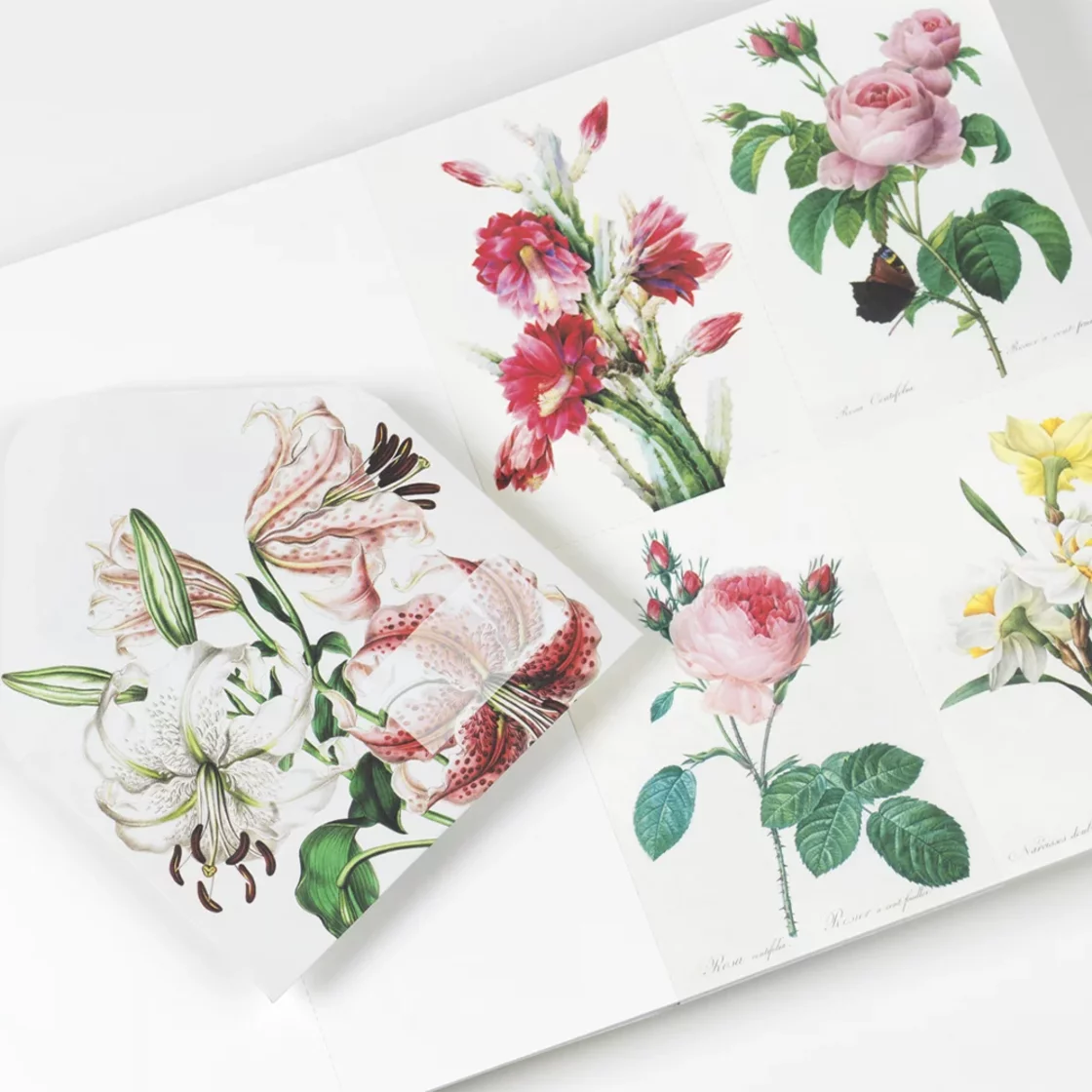 CPB71 Flowers * Creative Paper Book * Pepin Press