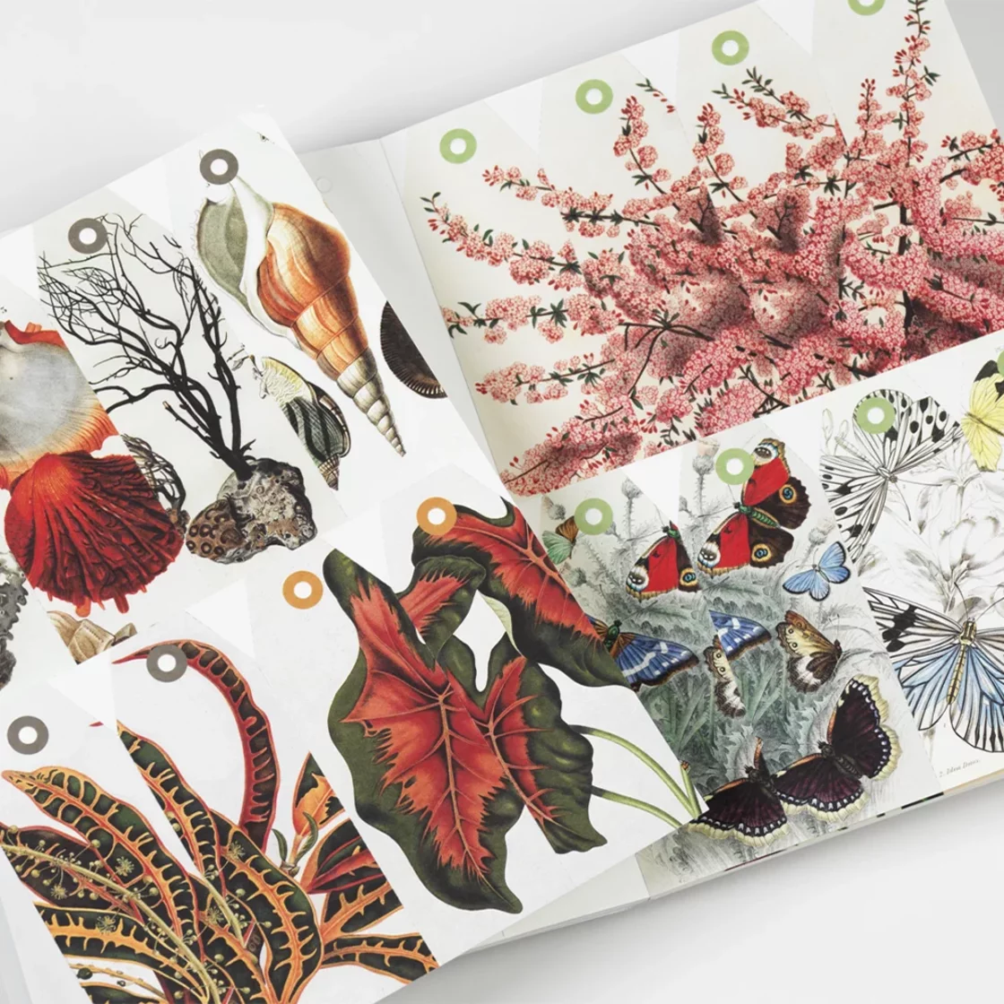 CPB88 Natural History * Creative Paper Book * Pepin Press