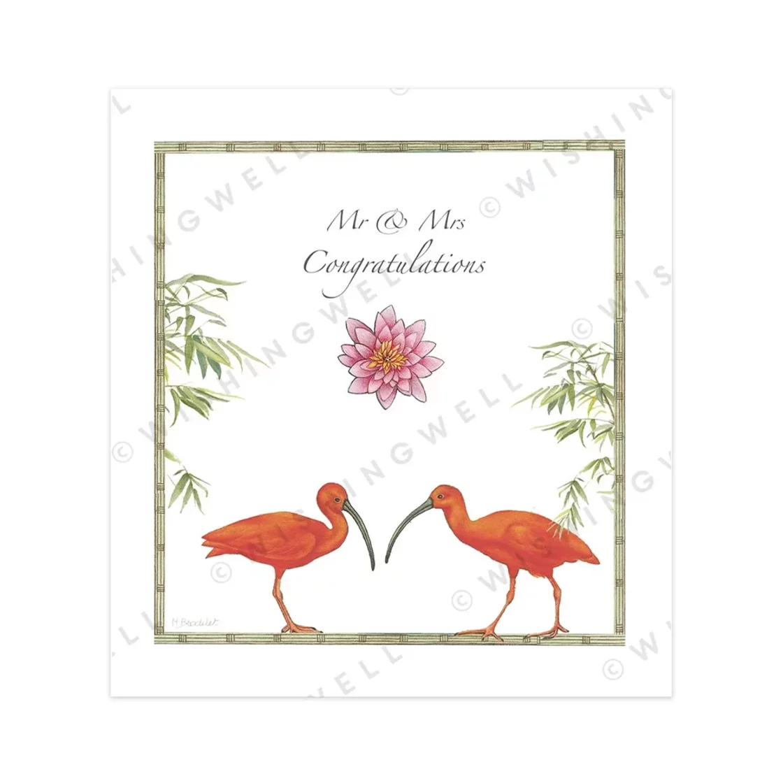 Mr & Mrs Congratulations Ibis * Wishingwell greeting card