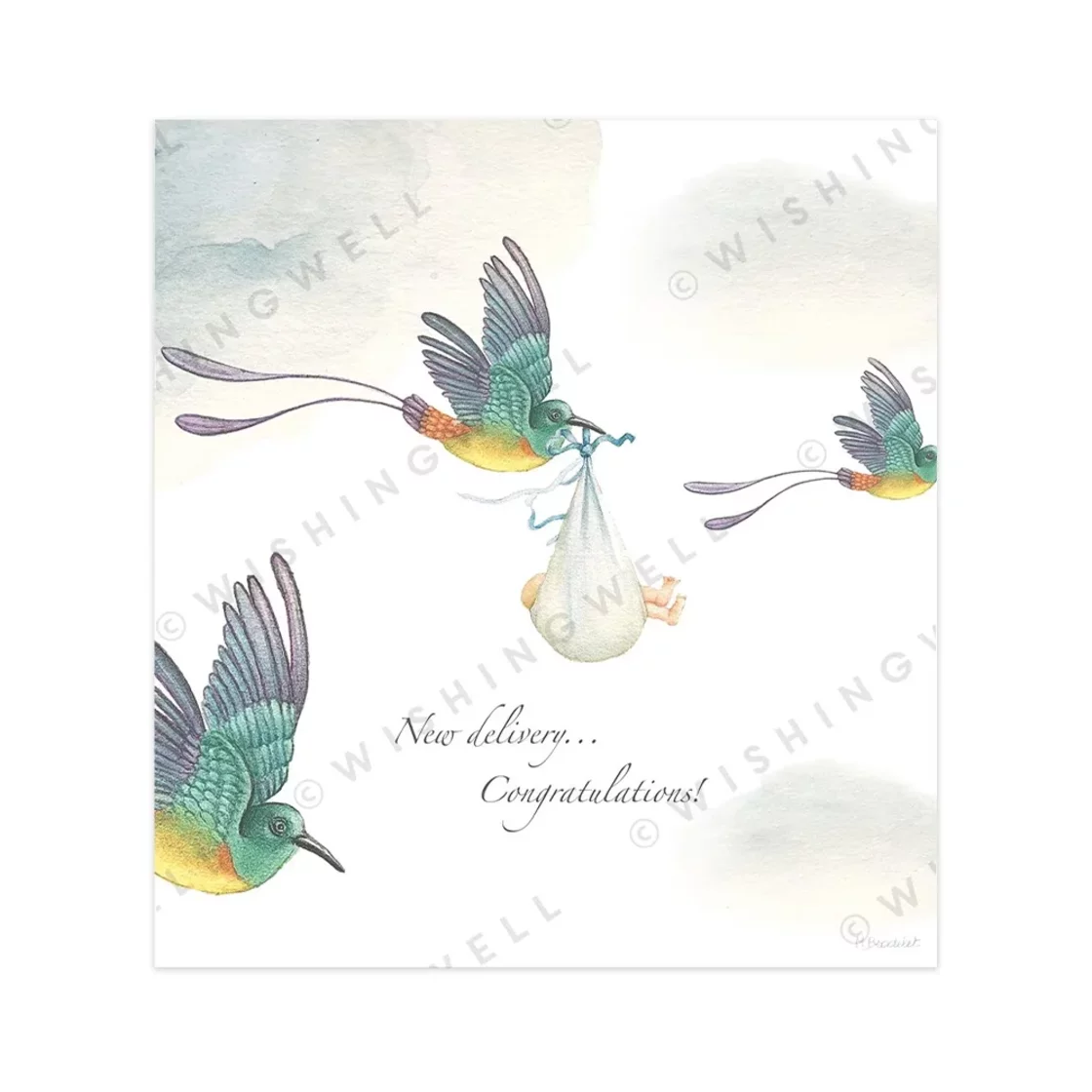 New Delivery... Congratulations! * Wishingwell greeting card