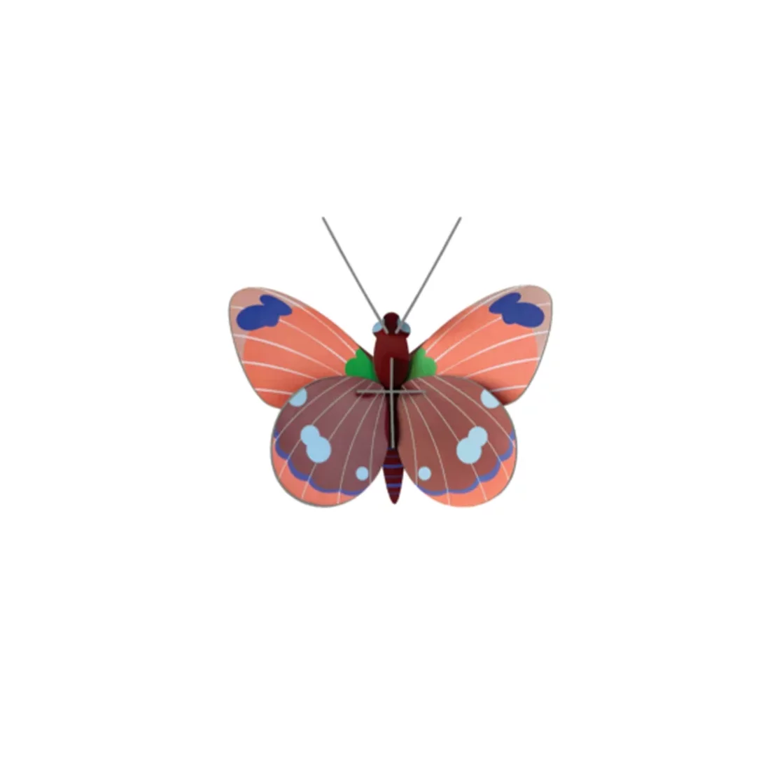 R33. Delias Butterfly Wall Art * Studio ROOF