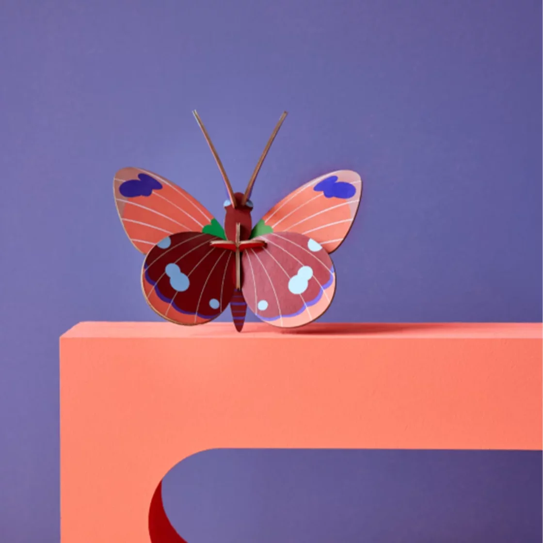 R33. Delias Butterfly Wall Art * Studio ROOF